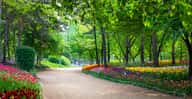 Seoul Forest Park