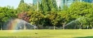 Seoul Forest Park