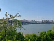 Jamwon Hangang Park